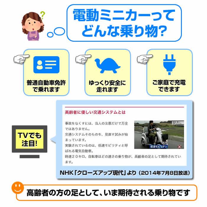 電動ミニカーってどんな乗り物?