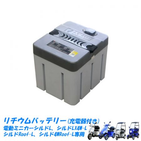 s-battery11